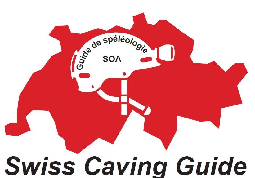 swisscaving